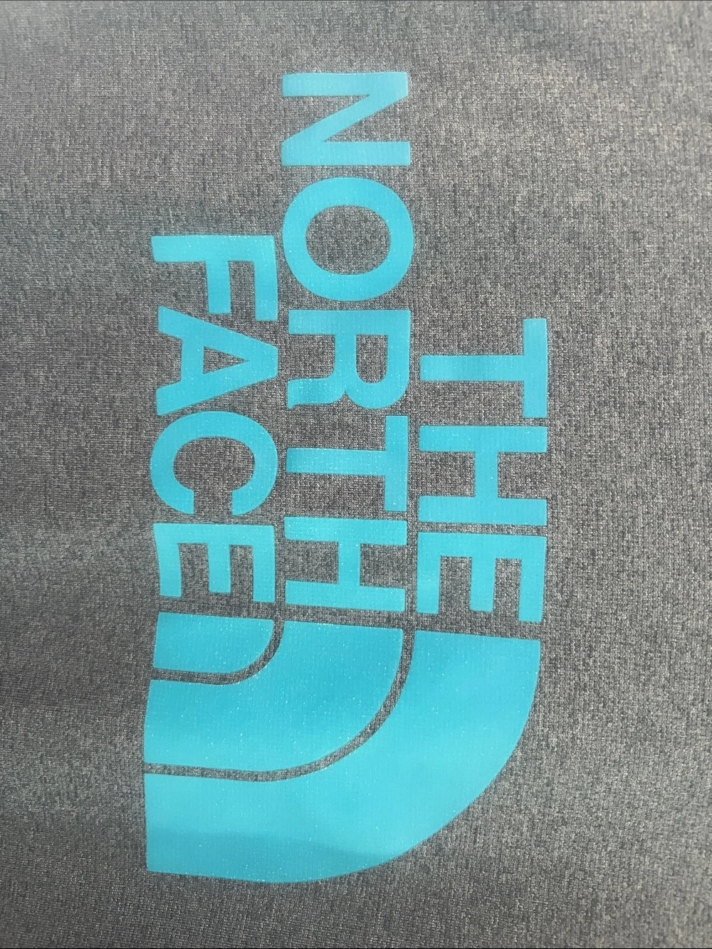 The North Face Men's Slate Blue Pullover Hoodie with Cyan Logo